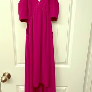 Express magenta dress